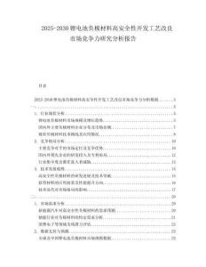 2025-2030鋰電池負極材料高安全性開發(fā)工藝改良市場競爭力研究分析報告