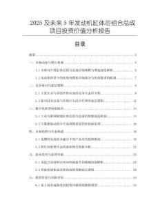 2025及未來5年發(fā)動機缸體芯組合總成項目投資價值分析報告