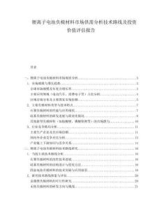 鋰離子電池負極材料市場供需分析技術路線及投資價值評估報告