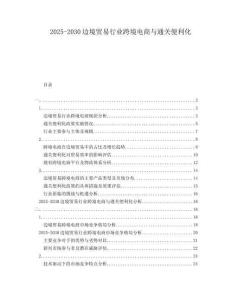 2025-2030邊境貿(mào)易行業(yè)跨境電商與通關(guān)便利化