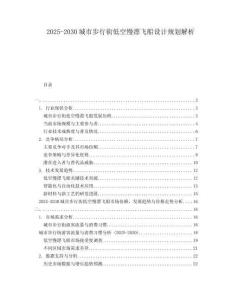 2025-2030城市步行街低空慢漂飛船設(shè)計(jì)規(guī)劃解析