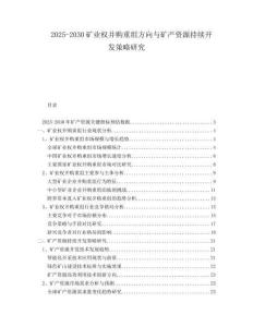 2025-2030礦業(yè)權(quán)并購重組方向與礦產(chǎn)資源持續(xù)開發(fā)策略研究