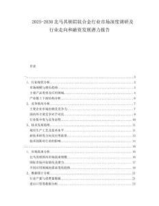 2025-2030北馬其頓鋁鈧合金行業(yè)市場深度調(diào)研及行業(yè)走向和融資發(fā)展?jié)摿蟾?><span id=