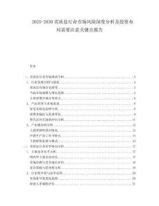 2025-2030劣質(zhì)鹽行業(yè)市場(chǎng)風(fēng)險(xiǎn)深度分析及投資布局需要注意關(guān)鍵點(diǎn)報(bào)告