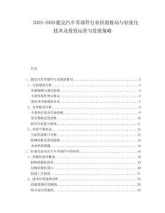 2025-2030捷克汽車零部件行業(yè)供需格局與輕量化技術(shù)及投資運(yùn)營與發(fā)展策略
