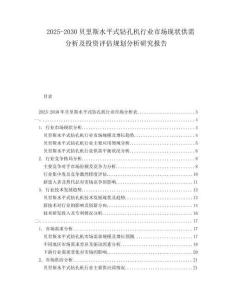 2025-2030貝里斯水平式鉆孔機(jī)行業(yè)市場(chǎng)現(xiàn)狀供需分析及投資評(píng)估規(guī)劃分析研究報(bào)告