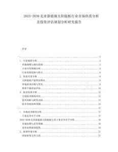 2025-2030北亞新能源太陽能板行業(yè)市場供需分析及投資評估規(guī)劃分析研究報告