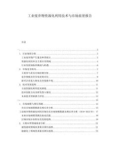 工業(yè)廢棄物資源化利用技術(shù)與市場前景報告