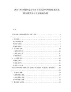 2025-2030煉鋼行業(yè)鐵礦石供需分布環(huán)保成本政策限制投資評估規(guī)劃前瞻分析