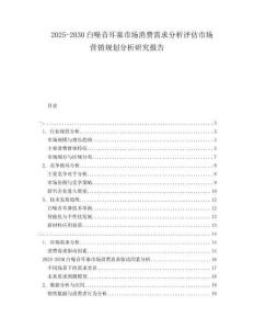 2025-2030白噪音耳塞市場(chǎng)消費(fèi)需求分析評(píng)估市場(chǎng)營(yíng)銷規(guī)劃分析研究報(bào)告