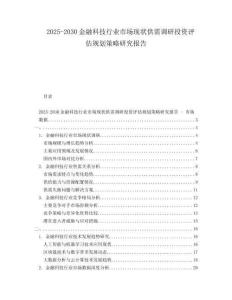 2025-2030金融科技行業(yè)市場現(xiàn)狀供需調(diào)研投資評估規(guī)劃策略研究報告