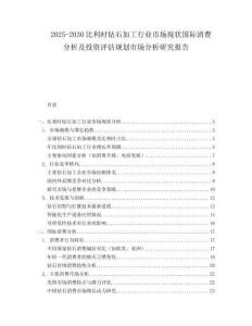 2025-2030比利時鉆石加工行業(yè)市場現(xiàn)狀國際消費分析及投資評估規(guī)劃市場分析研究報告