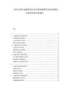 2025-2030金融科技行業(yè)市場深度研究及商業(yè)模式與投資價值分析報告