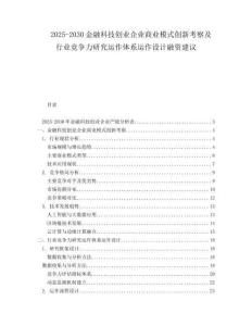 2025-2030金融科技創(chuàng)業(yè)企業(yè)商業(yè)模式創(chuàng)新考察及行業(yè)競(jìng)爭(zhēng)力研究運(yùn)作體系運(yùn)作設(shè)計(jì)融資建議