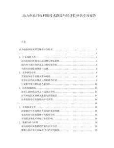 動力電池回收利用技術(shù)路線與經(jīng)濟性評估專項報告