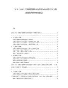 2025-2030北美新能源鋰電池制造業(yè)市場(chǎng)競(jìng)爭(zhēng)分析及投資規(guī)劃研究報(bào)告