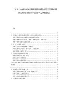 2025-2030鋰電池負極材料制備技術研究領域市場供需狀況及行業(yè)產品競爭力分析報告