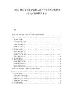 2025-2030超級電容器核心部件行業(yè)市場評價供需動態(tài)技術(shù)發(fā)展投資評估