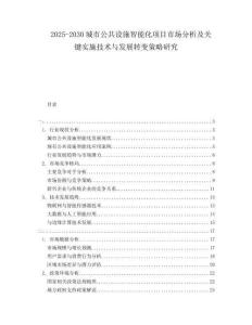 2025-2030城市公共設(shè)施智能化項目市場分析及關(guān)鍵實施技術(shù)與發(fā)展轉(zhuǎn)變策略研究