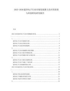 2025-2030超導(dǎo)電子行業(yè)市場發(fā)展?jié)摿皯?yīng)用前景與科技轉(zhuǎn)化研究報告