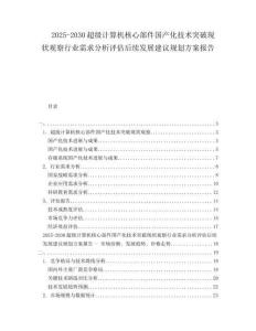 2025-2030超級計(jì)算機(jī)核心部件國產(chǎn)化技術(shù)突破現(xiàn)狀觀察行業(yè)需求分析評估后續(xù)發(fā)展建議規(guī)劃方案報(bào)告