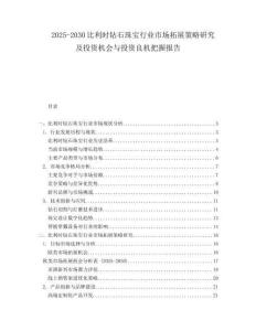 2025-2030比利時(shí)鉆石珠寶行業(yè)市場拓展策略研究及投資機(jī)會與投資良機(jī)把握報(bào)告