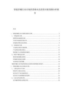 智能穿戴行业市场供需格局及投资回报预测分析报告