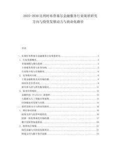 2025-2030比利時(shí)布魯塞爾金融服務(wù)行業(yè)現(xiàn)狀研究方向與投資發(fā)展動力與商業(yè)化路徑