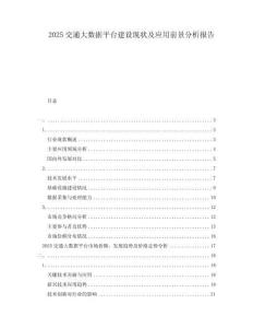 2025交通大數(shù)據(jù)平臺(tái)建設(shè)現(xiàn)狀及應(yīng)用前景分析報(bào)告