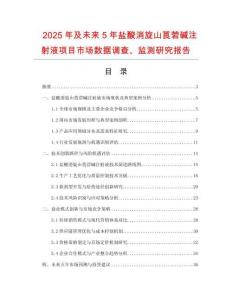 2025年及未來(lái)5年鹽酸消旋山莨菪堿注射液項(xiàng)目市場(chǎng)數(shù)據(jù)調(diào)查、監(jiān)測(cè)研究報(bào)告