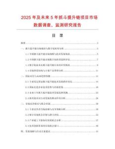 2025年及未來5年抓斗提升鏈項目市場數(shù)據(jù)調(diào)查、監(jiān)測研究報告