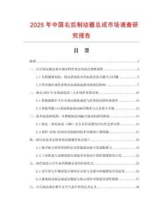 2025年中国右后制动器总成市场调查研究报告