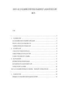 2025動(dòng)力電池梯次利用技術(shù)成熟度與商業(yè)價(jià)值分析報(bào)告