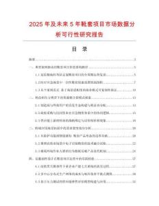2025年及未来5年靴套项目市场数据分析可行性研究报告