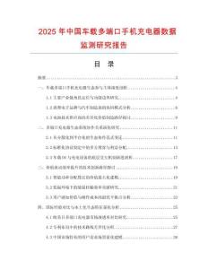 2025年中国车载多端口手机充电器数据监测研究报告