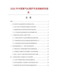2025年中國(guó)蒸氣處理爐市場(chǎng)調(diào)查研究報(bào)告
