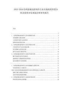 2025-2030伯利茲城電影制作行業(yè)市場現(xiàn)狀供需分析及投資評估規(guī)劃分析研究報告