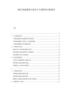 2025固態(tài)硬盤主控芯片專利壁壘分析報(bào)告