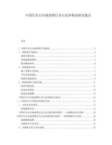 中國汽車后市場消費行為與競爭格局研究報告