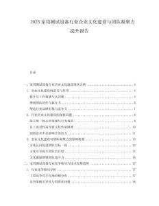 2025家用测试设备行业企业文化建设与团队凝聚力提升报告