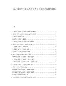 2025家庭环境对幼儿智力发展的影响机制研究报告