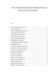 2025-2030城市軌道交通行業(yè)市場現(xiàn)狀評價及運營效率與投資可行性研究報告