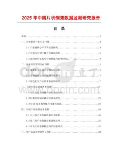 2025年中國片狀銅箔數據監(jiān)測研究報告