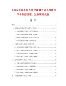 2025年及未來5年定厚強力砂光機項目市場數(shù)據(jù)調(diào)查、監(jiān)測研究報告