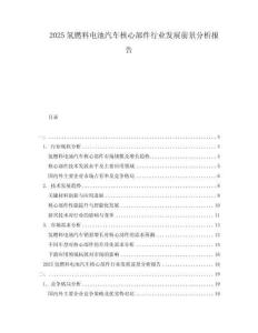 2025氫燃料電池汽車核心部件行業(yè)發(fā)展前景分析報(bào)告