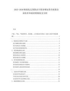 2025-2030财政收支预算赤字债务增加货币政策企业杠杆率政府财税收支分析