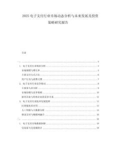 2025電子支付行業(yè)市場動態(tài)分析與未來發(fā)展及投資策略研究報(bào)告