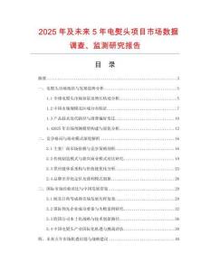 2025年及未來5年電熨頭項(xiàng)目市場(chǎng)數(shù)據(jù)調(diào)查、監(jiān)測(cè)研究報(bào)告