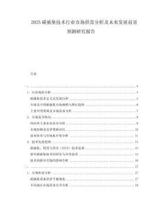 2025碳捕集技術(shù)行業(yè)市場供需分析及未來發(fā)展前景預(yù)測研究報告