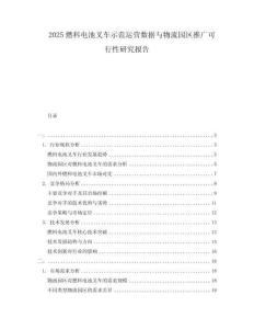 2025燃料電池叉車示范運(yùn)營(yíng)數(shù)據(jù)與物流園區(qū)推廣可行性研究報(bào)告